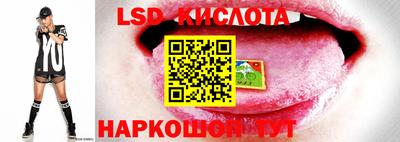 кокс Кимры