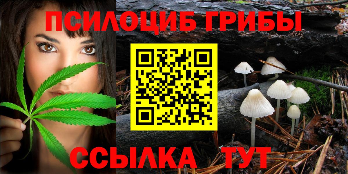 Псилоцибиновые грибы Psilocybine cubensis Дальнегорск