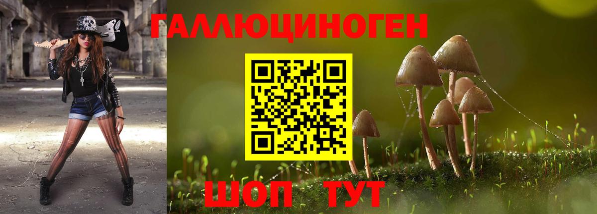 Галлюциногенные грибы ЛСД  Псилоцибиновые грибы Psilocybe  Вход с VPN  Дальнегорск 
